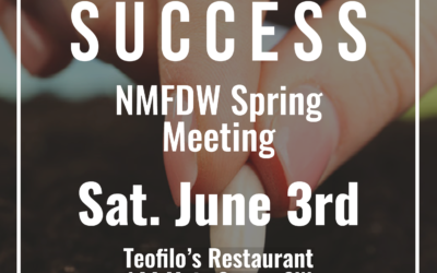 New Mexico Federation of Democratic Women Spring Meeting