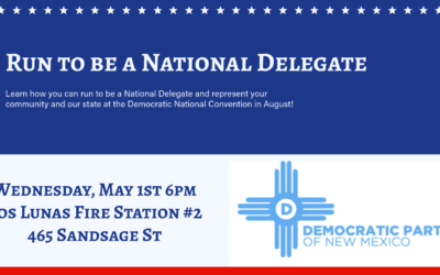 Run to Be a National Delegate – Training Session